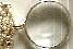 Necklace Magnifier